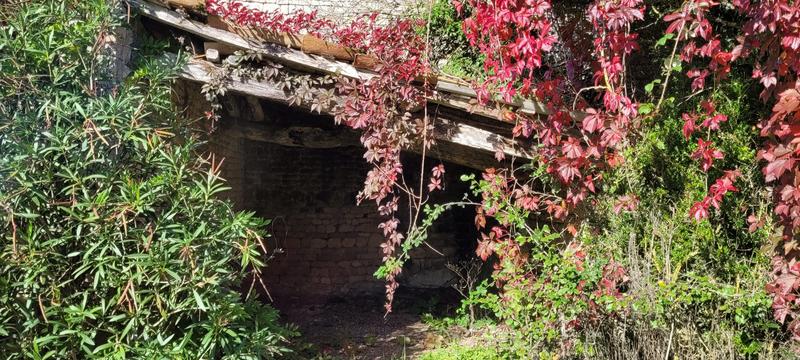 Ferme - 350 m² - 8 pièces