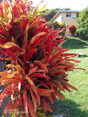 Immeuble - 240 m² - 12 pièces