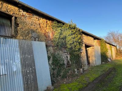 Cave / Box - 230 m²