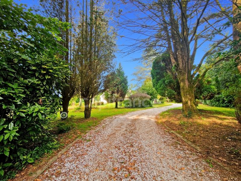 Maison bourgeoise - 300 m² - 10 pièces