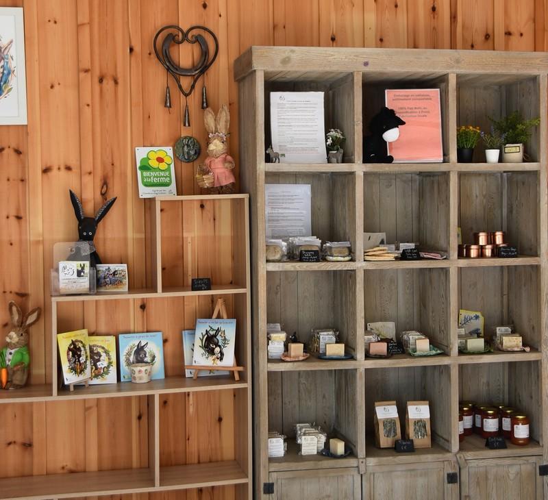 Fête de l'Âne et du soleil