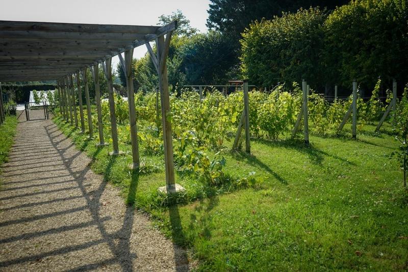 Manoir - 800 m² - 25 pièces