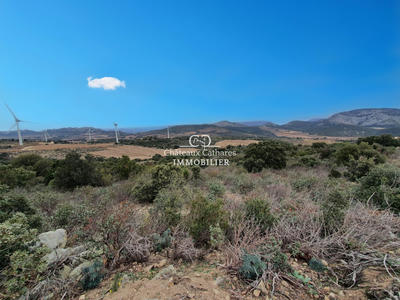 Terrain agricole - 31 187 m²