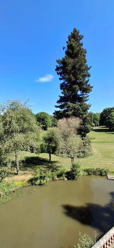 Château - 1 800 m² - 30 pièces