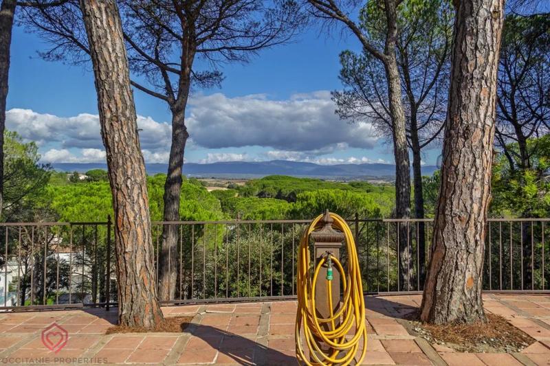 Propriété - 318 m² - 7 pièces