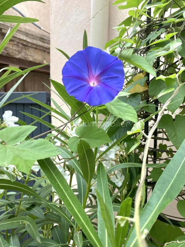 Maison de village - 140 m² - 5 pièces