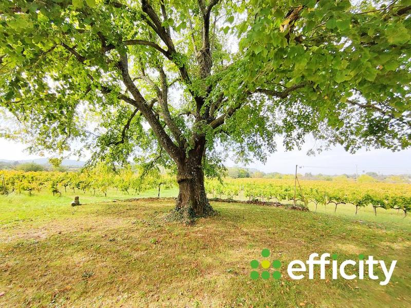 Maison - 240 m² - 5 pièces