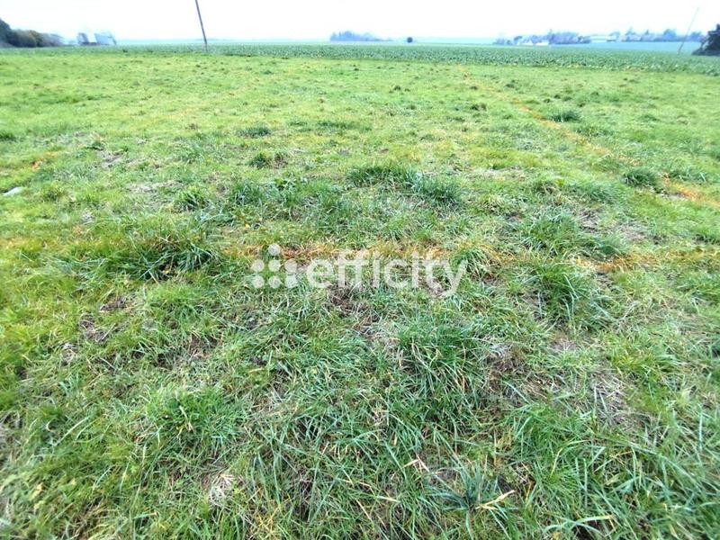 Bureau - 73 m² - 1 pièce