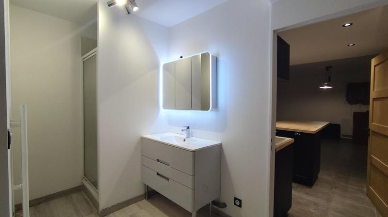 Penthouse - 48 m² - 2 pièces