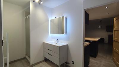 Penthouse - 48 m² - 2 pièces