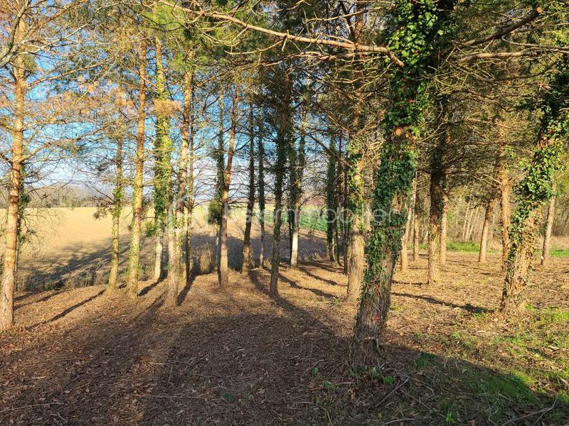 Terrain constructible - 1 000 m²