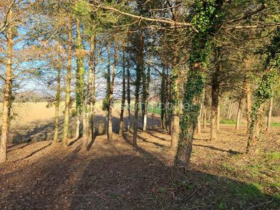 Terrain constructible - 1 000 m²