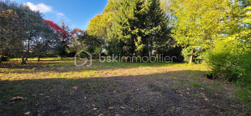 Maison de village - 155 m² - 5 pièces