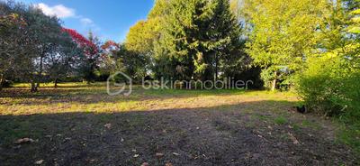 Maison de village - 150 m² - 5 pièces