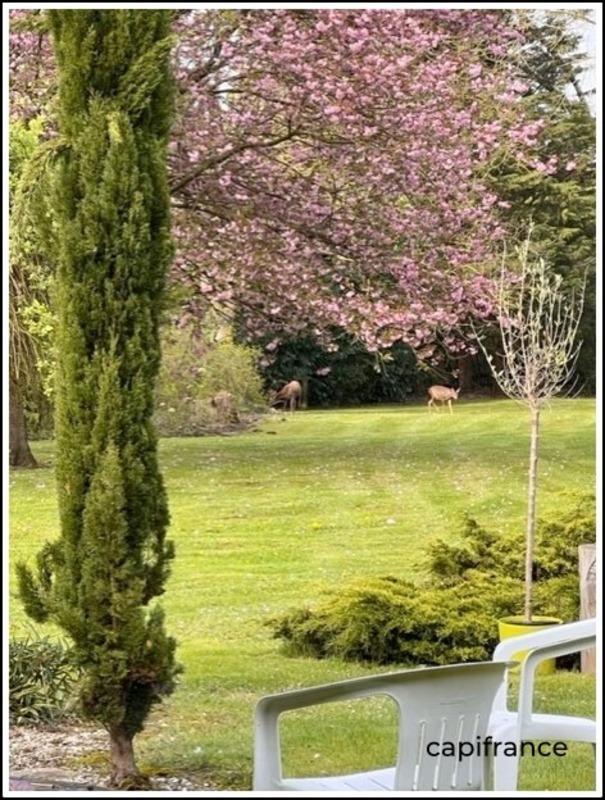 Maison d'architecte - 319 m² - 10 pièces