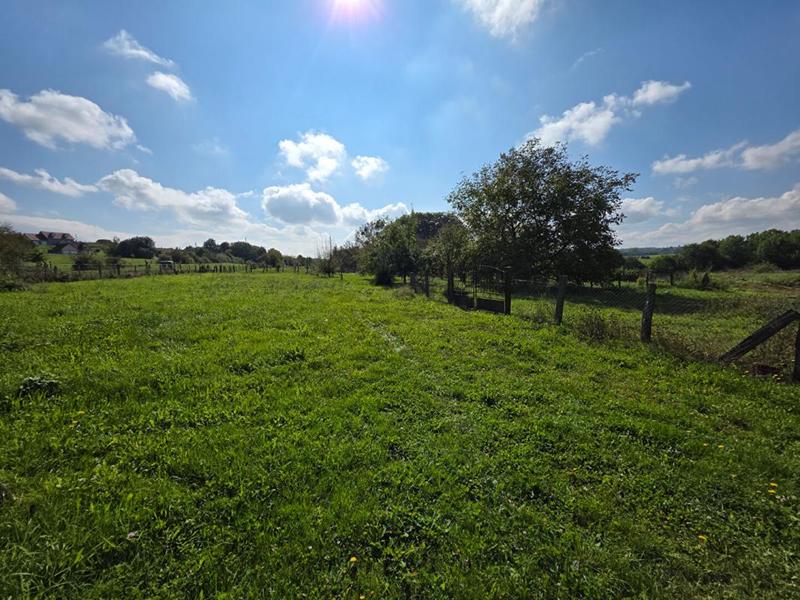 Maison - 270 m² - 1 pièce