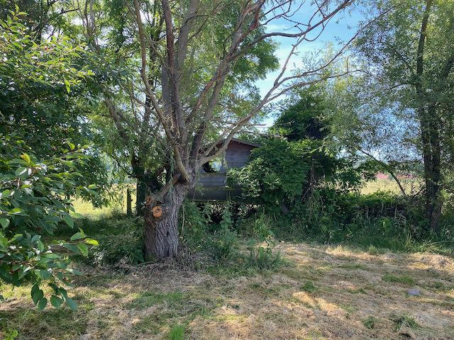 Terrain de loisirs - 4 917 m²