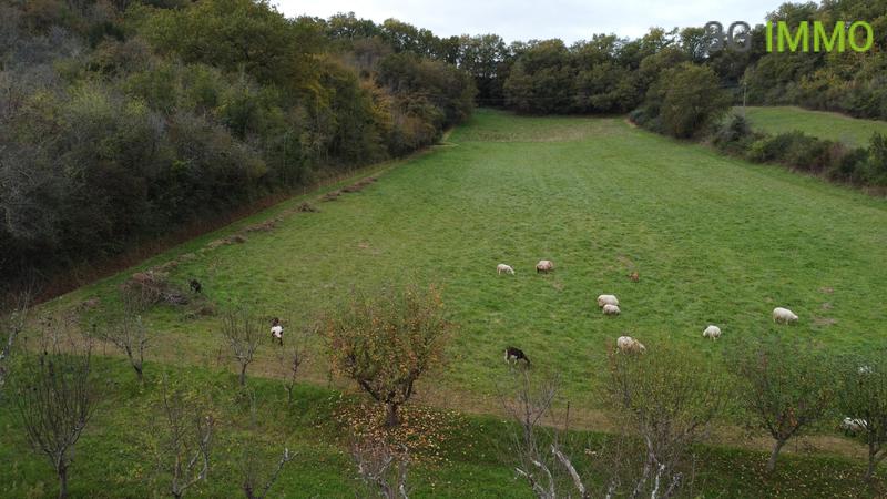 Villa - 257 m² - 10 pièces