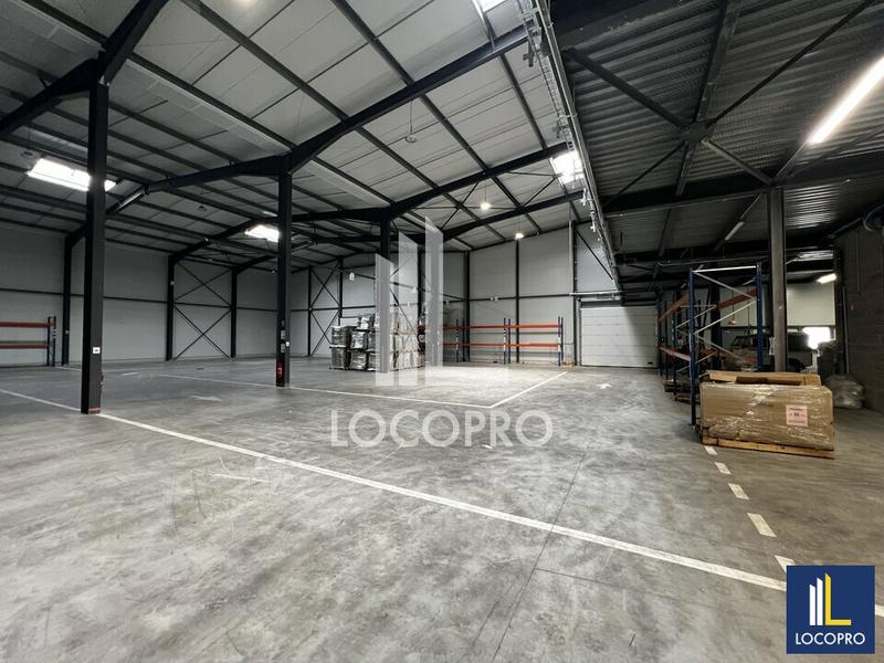 Local d'activité / Entrepôt - 1 293 m²