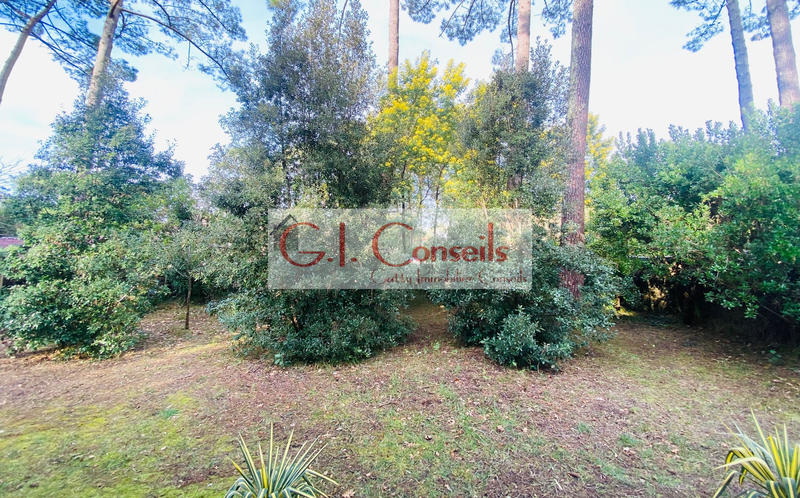 Maison - 65 m² - 3 pièces