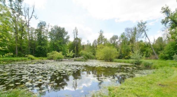 Manoir - 1 050 m² - 30 pièces