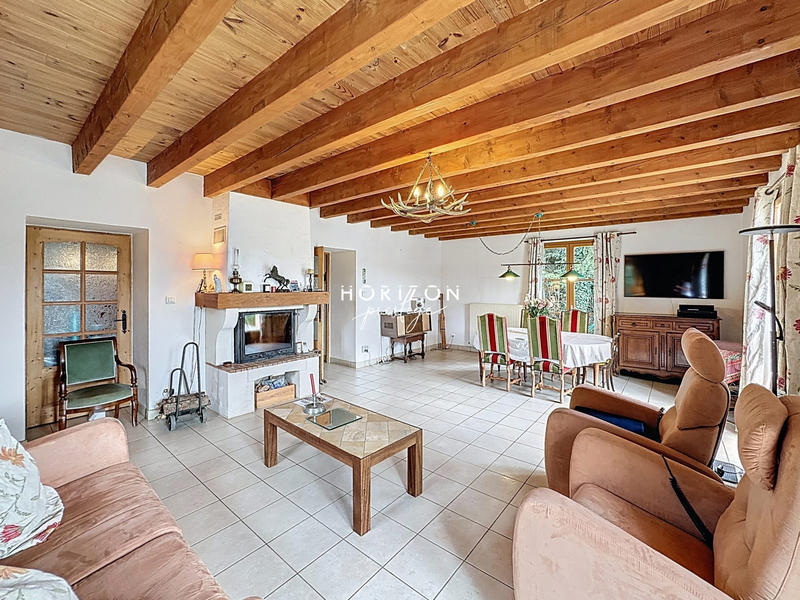 Ferme - 334 m² - 7 pièces