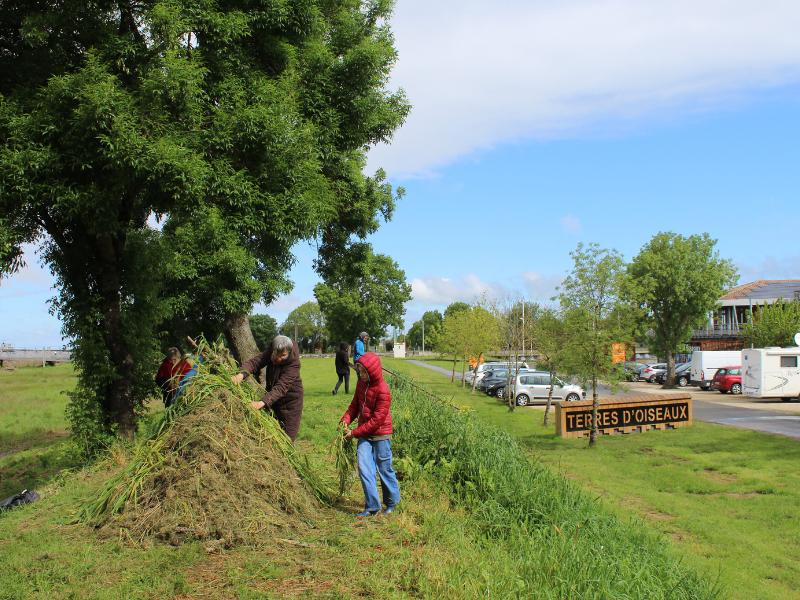 Petits Aventuriers à Terres d'Oiseaux