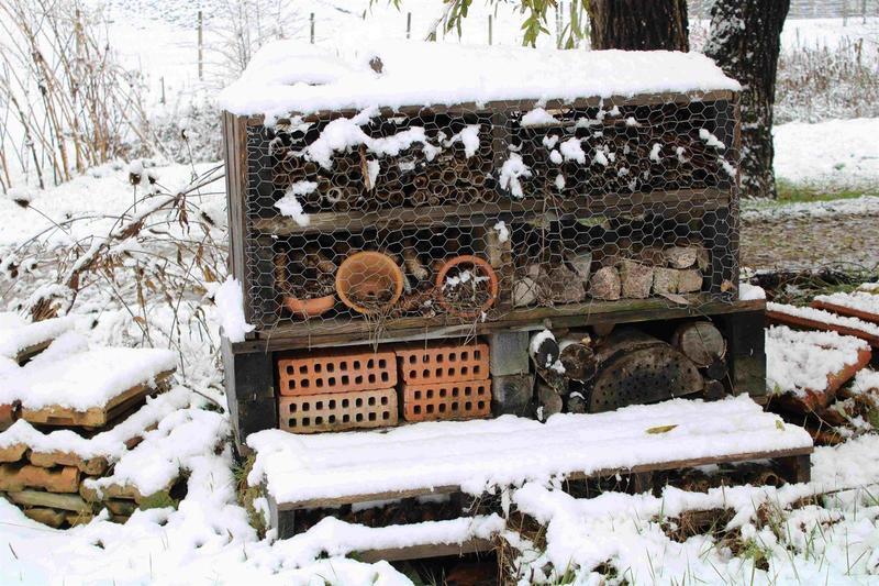 Atelier : Hotel à insectes