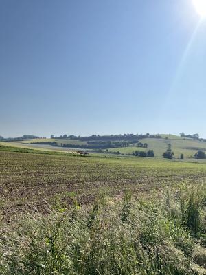 Terrain inconstructible - 2 600 m²