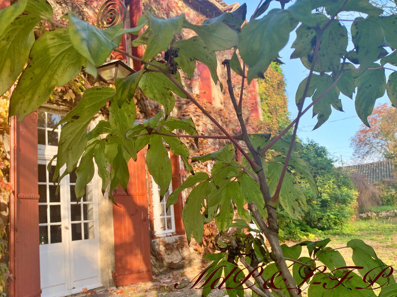 Maison - 711 m² - 11 pièces