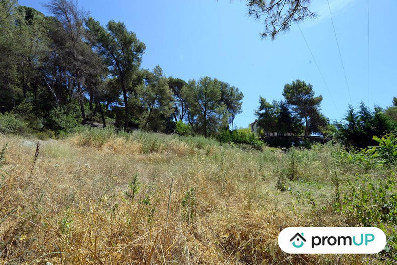 Terrain - 10 000 m²