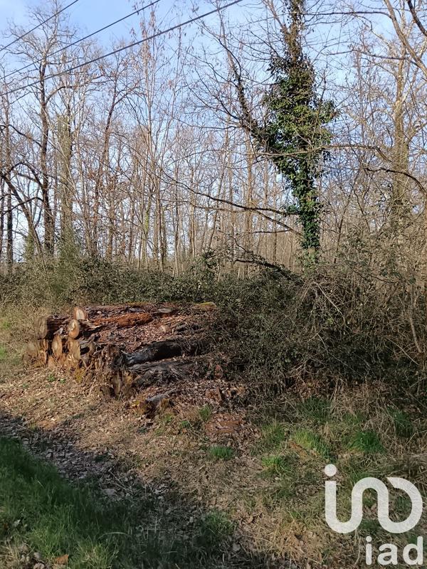 Terrain - 24 045 m²