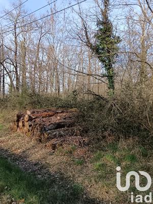 Terrain - 24 045 m²