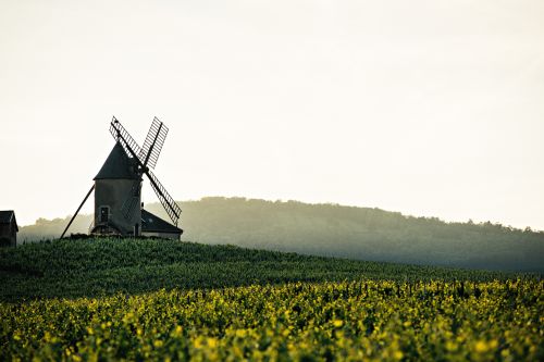 Château du Moulin-à-Vent