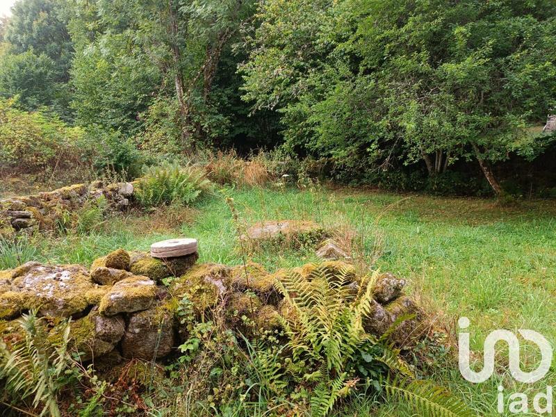 Maison de campagne - 95 m² - 3 pièces