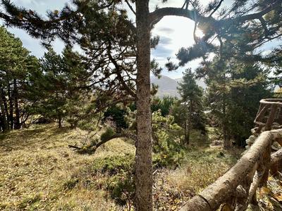 Terrain constructible - 1 572 m²