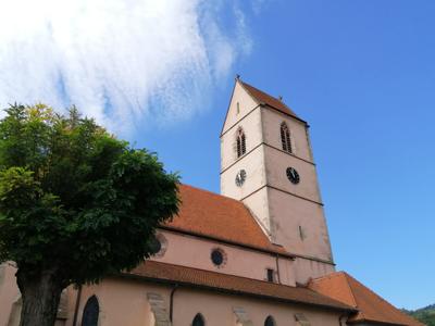Visite guidée : balade entre histoire et nature