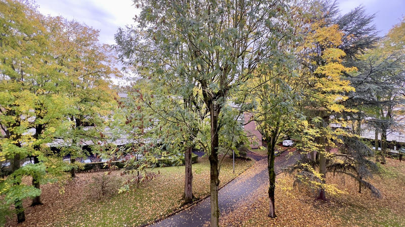 Appartement - 85 m² - 3 pièces