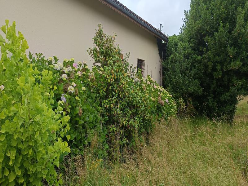 Propriété - 167 m² - 10 pièces