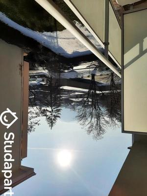 Chambre - 14 m² - 1 pièce