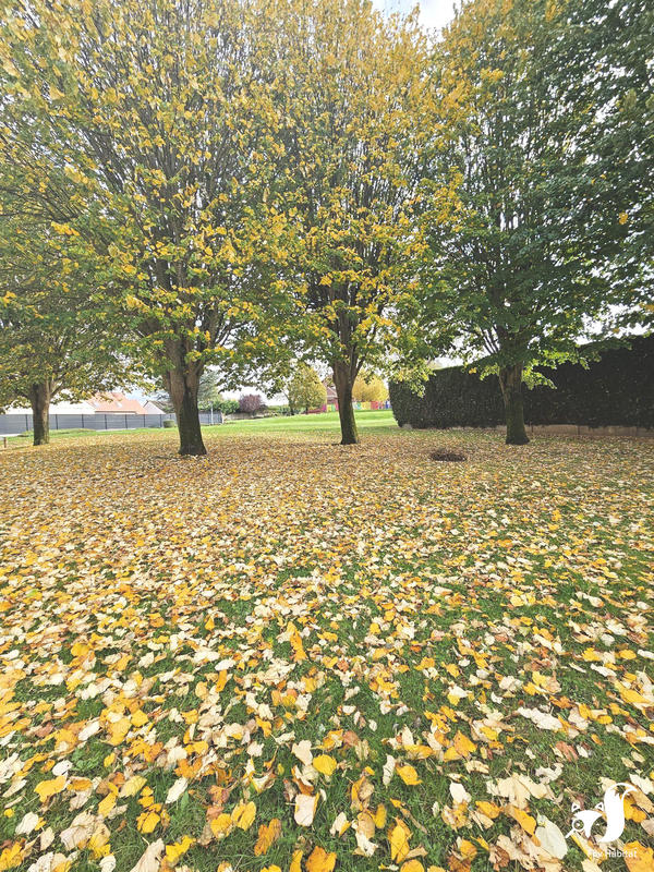 Maison - 74 m² - 5 pièces