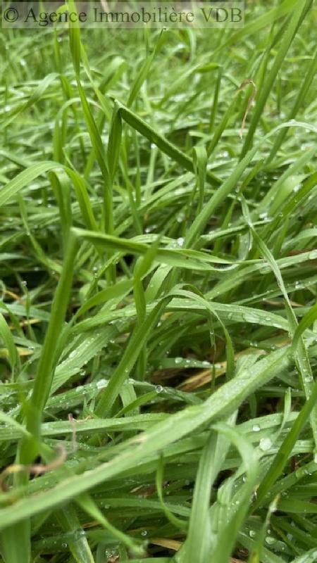 Terrain constructible - 235 m²