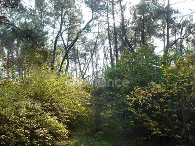 Terrain - 14 360 m²