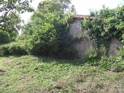 Terrain constructible - 1 271 m²