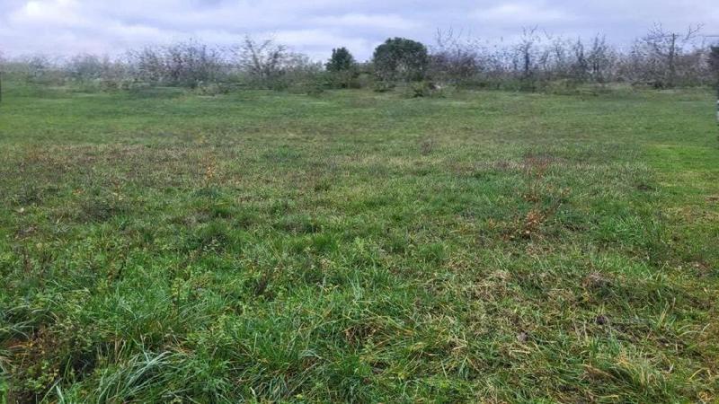 Terrain constructible - 1 138 m²
