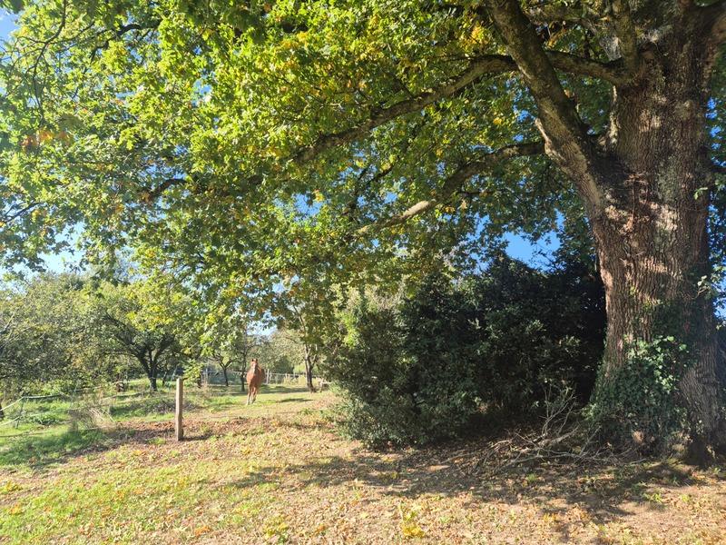 Maison de campagne - 240 m² - 10 pièces