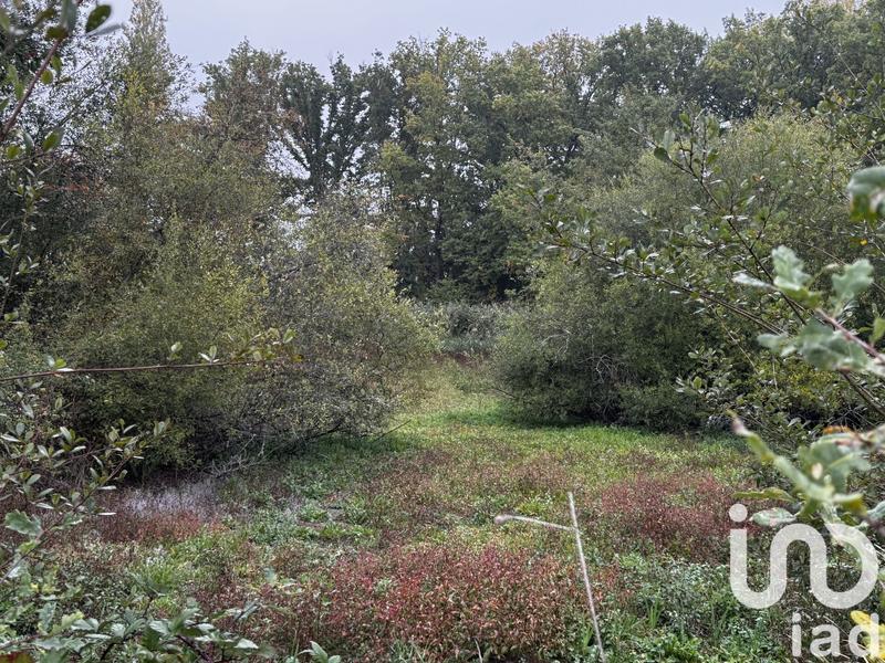 Terrain - 10 836 m²