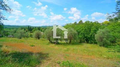 Terrain constructible - 4 500 m²