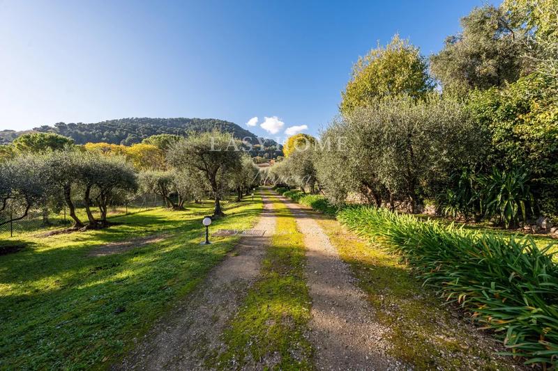 Propriété - 305 m² - 9 pièces