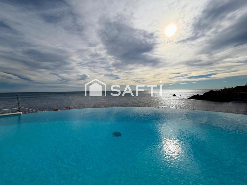 Appartement - 55 m² - 2 pièces